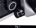 Fig1.jpg